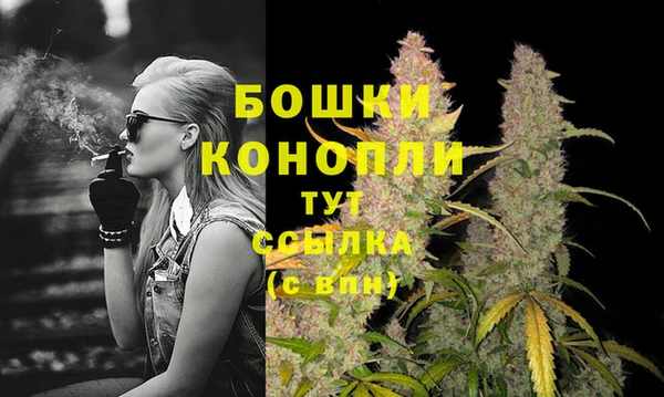 прущие крисы Гусиноозёрск
