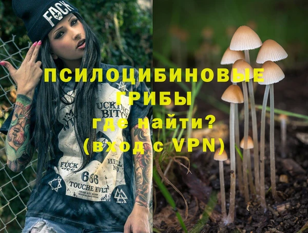 прущие крисы Гусиноозёрск