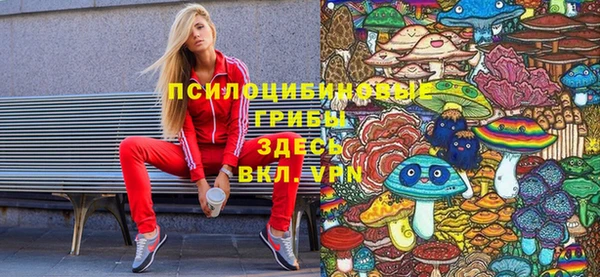 mdma Гусев