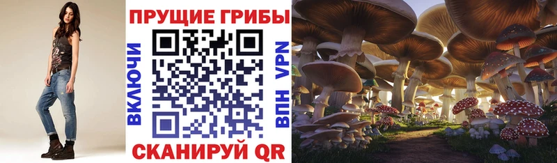 МЕГА зеркало  Зеленогорск  Псилоцибиновые грибы прущие грибы 